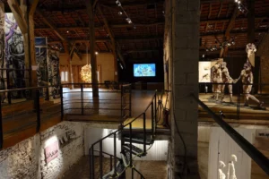 Galerie TEM - 2017 13