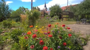 Galerie TEM - 2017 11