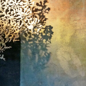 Les Ateliers du Canal - 2022 13